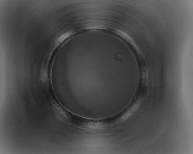X0000088470882200705221401