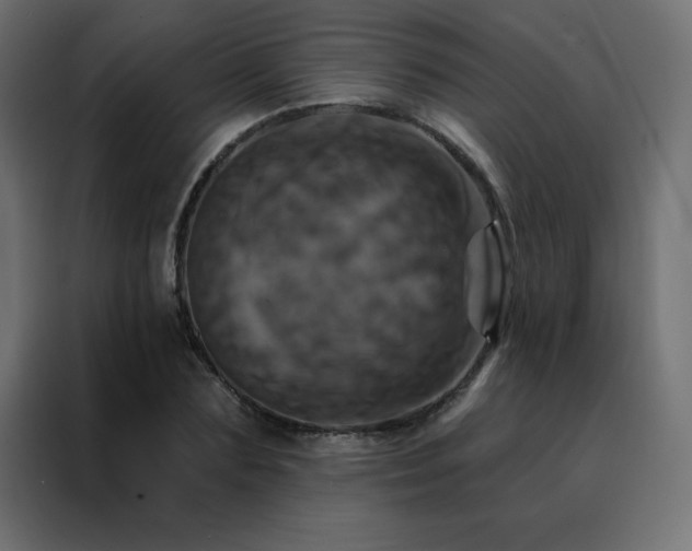 X0000088470883200705221401