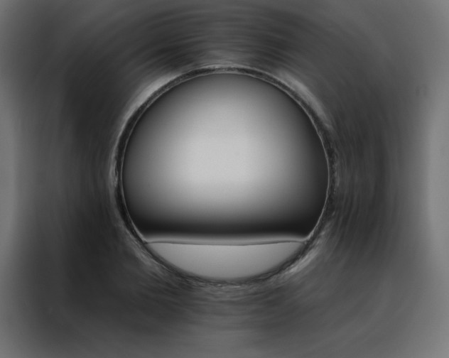 X0000088470885200705221401