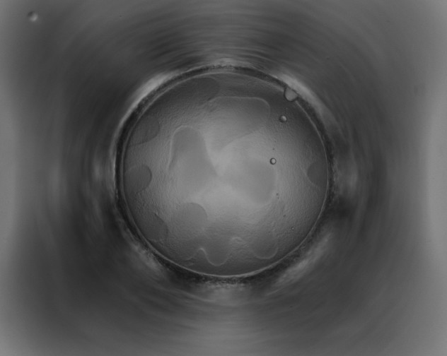 X0000088470886200705221401
