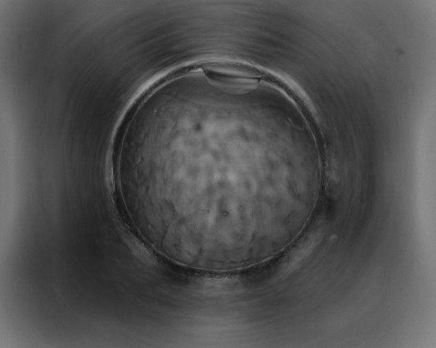 X0000088470887200705221401