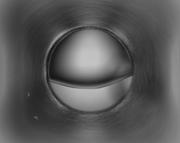 X0000088470888200705221401