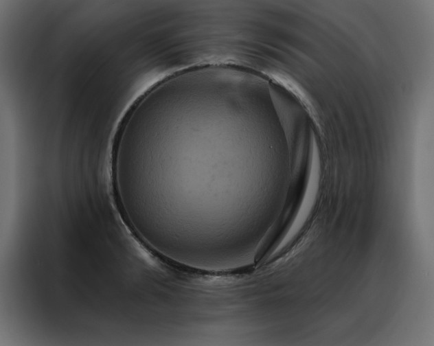 X0000088470894200705221401