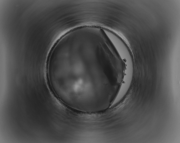 X0000088470895200705221401