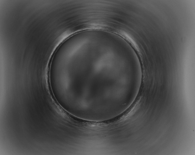 X0000088470899200705221401