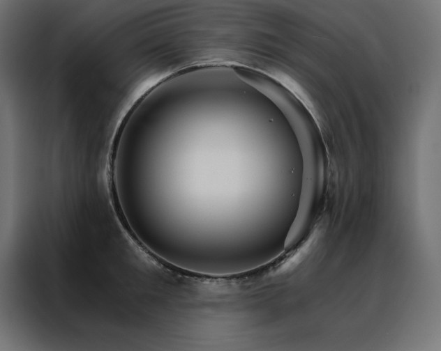 X0000088470901200705221401