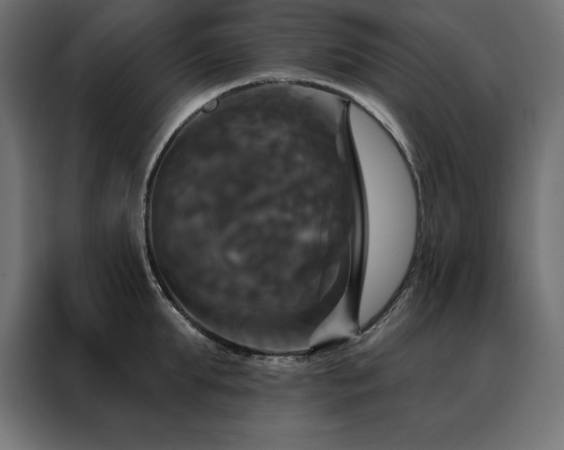 X0000088470903200705221400