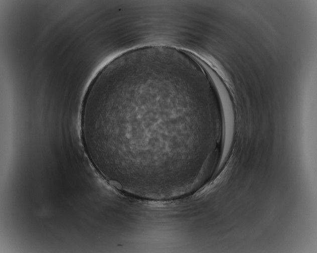 X0000088470904200705221400