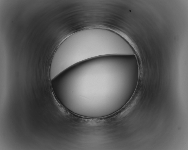 X0000088470905200705221400