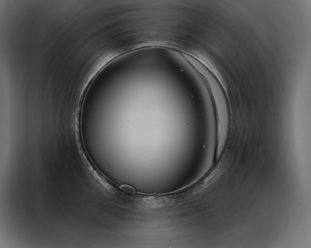 X0000088470906200705221400