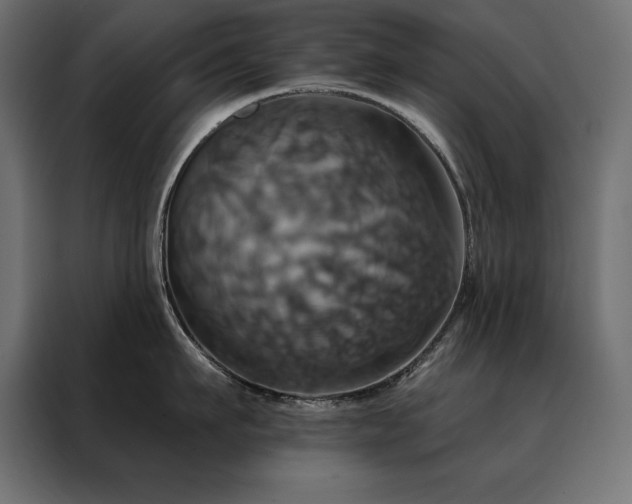 X0000088470911200705221400