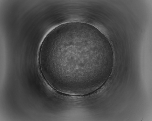 X0000088470912200705221400