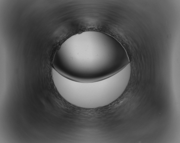 X0000088470916200705221400