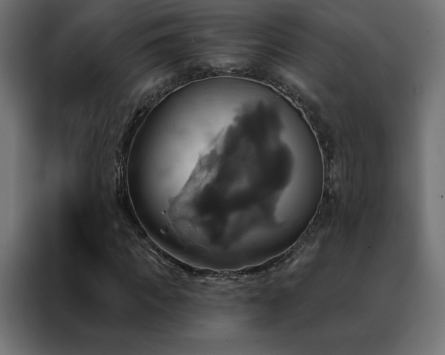 X0000088470917200705221400