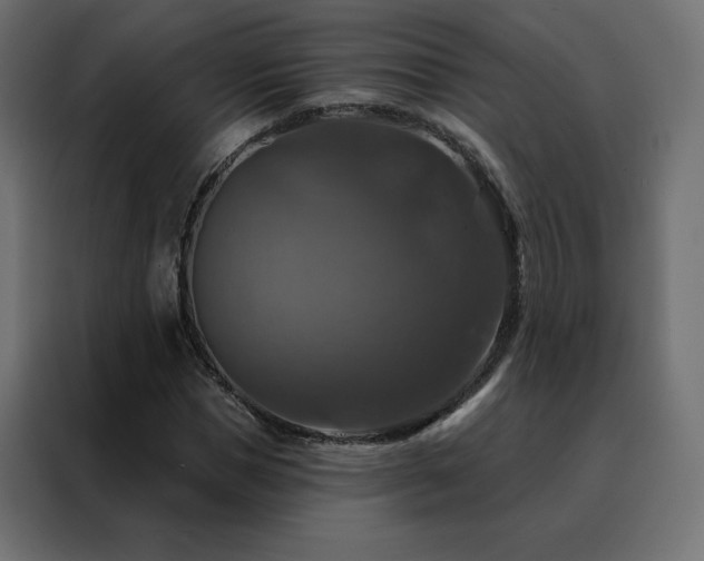 X0000088470921200705221400