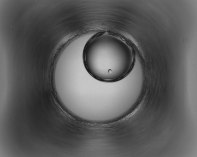 X0000088470922200705221400