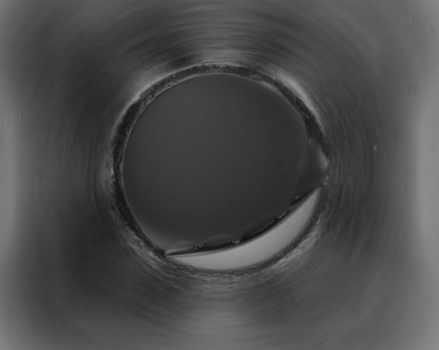 X0000088470923200705221400