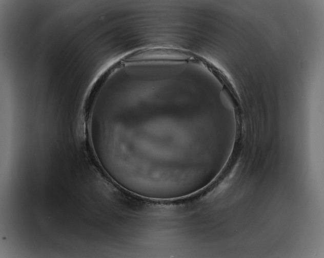 X0000088470925200705221400