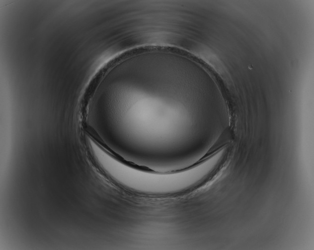 X0000088470926200705221400
