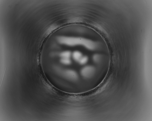 X0000088470929200705221400
