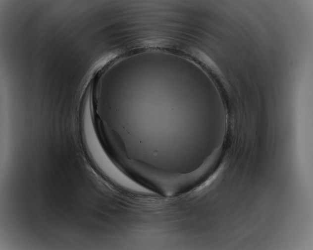 X0000088470930200705221400