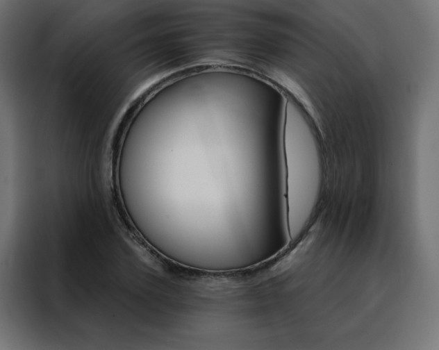 X0000088470931200705221400