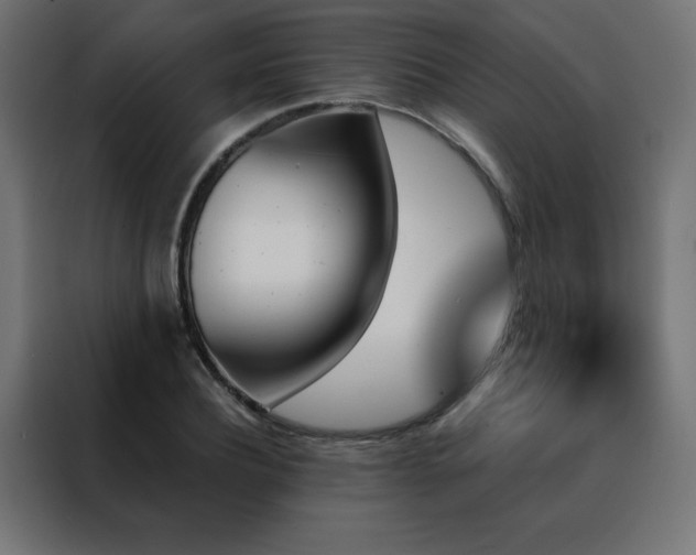 X0000088470932200705221400
