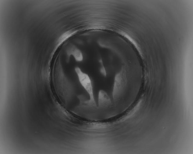 X0000088470933200705221400