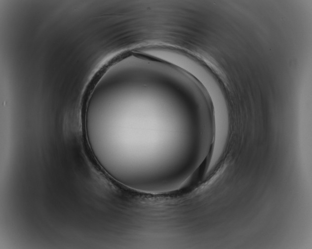 X0000088470934200705221400