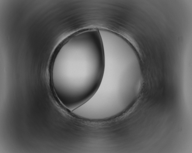 X0000088470936200705221400