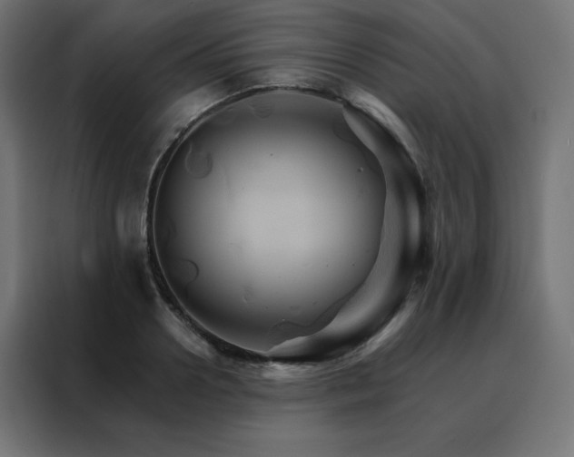 X0000088470938200705221400