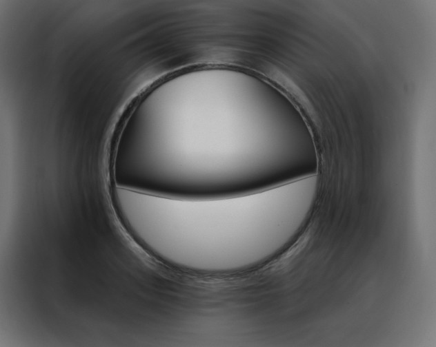 X0000088470939200705221400