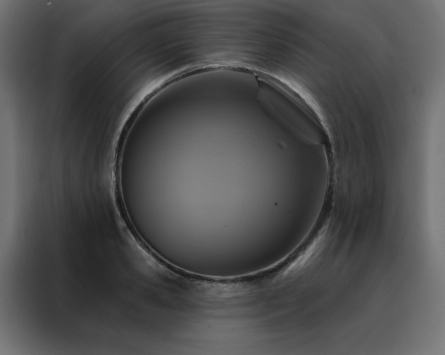 X0000088470941200705221400