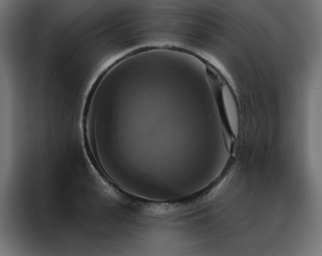 X0000088470943200705221400