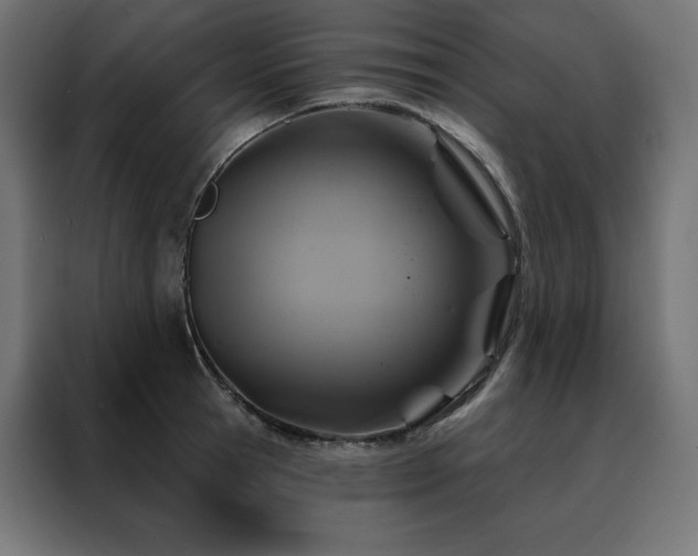 X0000088470945200705221400