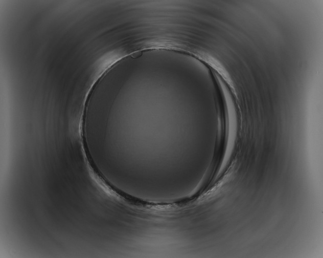 X0000088470946200705221400