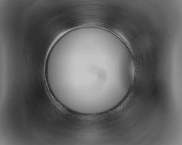 X0000088470948200705221400