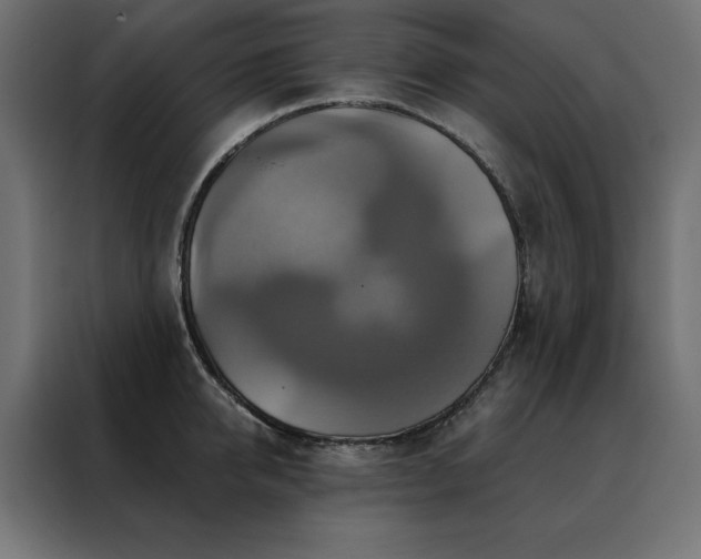 X0000088470950200705221400