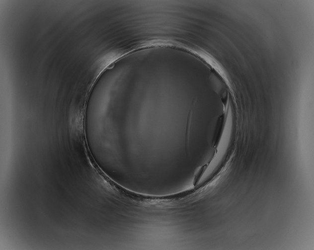 X0000088470953200705221400