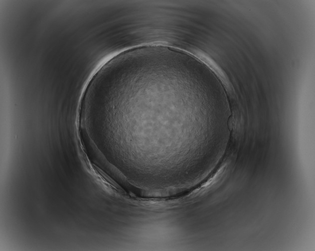 X0000088470956200705221400