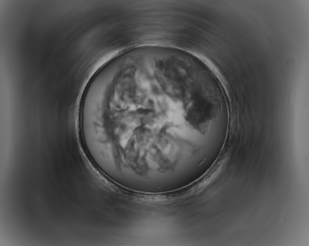 X0000088470957200705221400