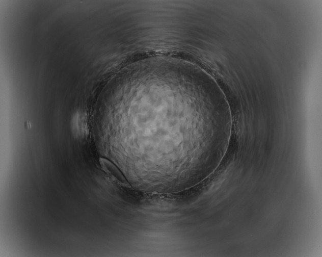 X0000088470962200705221400