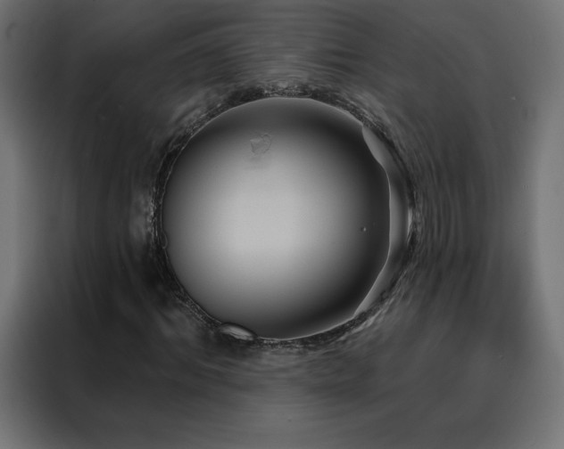 X0000088470964200705221359