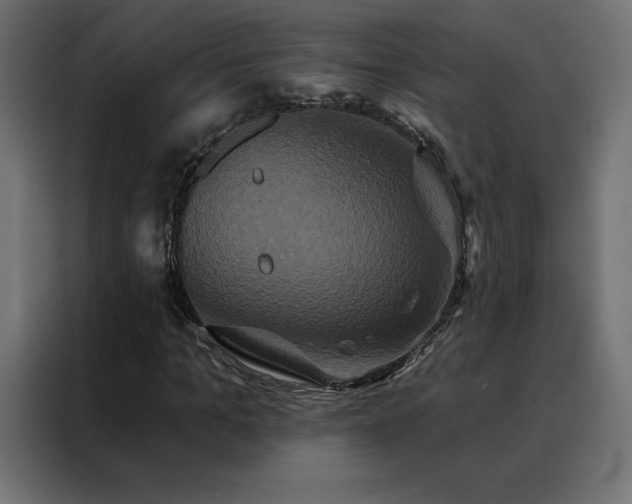 X0000088470965200705221359
