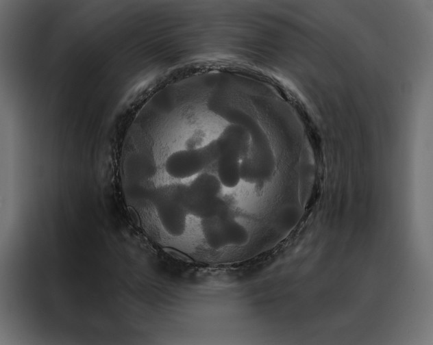 X0000088470967200705221359