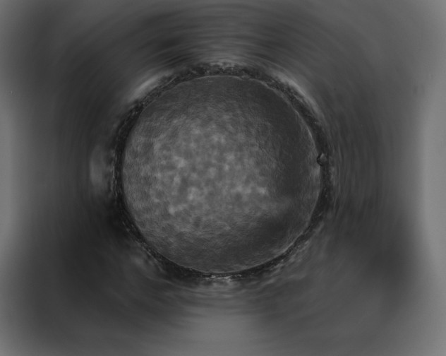 X0000088470968200705221359