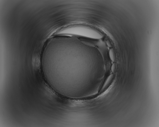 X0000088470969200705221359