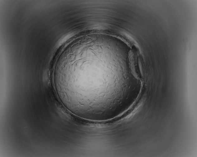 X0000088470970200705221359