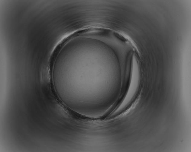 X0000088470973200705221359