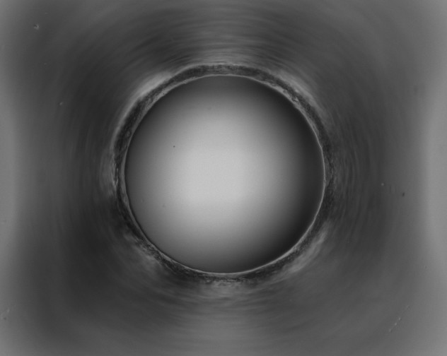 X0000088470974200705221359